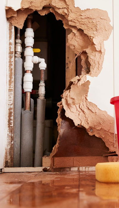 drain cleaning
